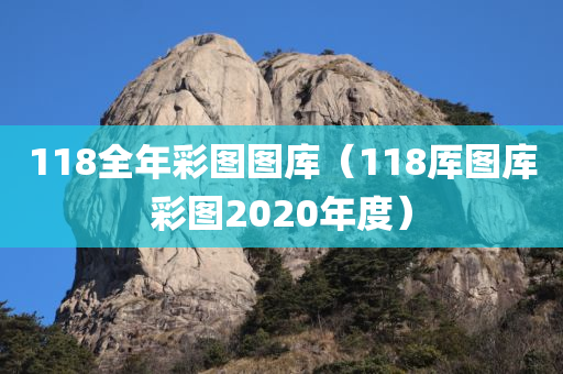 118全年彩图图库（118厍图库彩图2020年度）