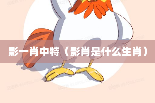 影一肖中特（影肖是什么生肖）