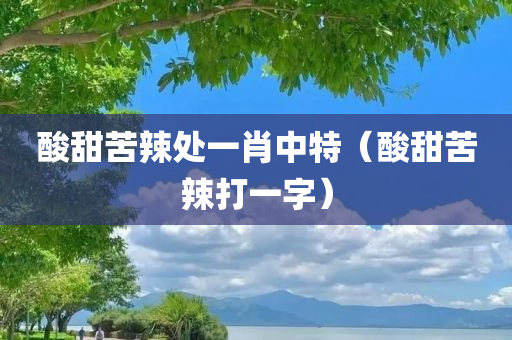 酸甜苦辣处一肖中特（酸甜苦辣打一字）