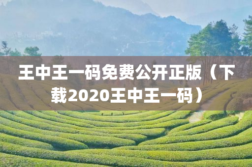 王中王一码免费公开正版（下载2020王中王一码）