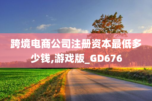 跨境电商公司注册资本最低多少钱,游戏版_GD676