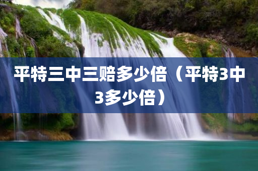 平特三中三赔多少倍（平特3中3多少倍）