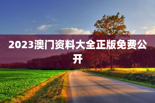 2023澳门资料大全正版免费公开