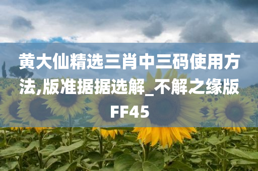 黄大仙精选三肖中三码使用方法,版准据据选解_不解之缘版FF45