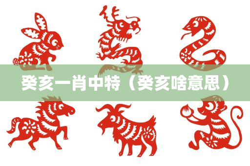 癸亥一肖中特（癸亥啥意思）