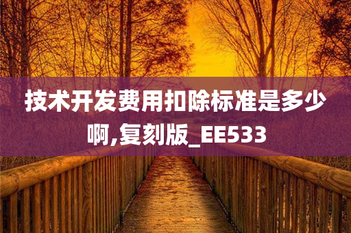 技术开发费用扣除标准是多少啊,复刻版_EE533