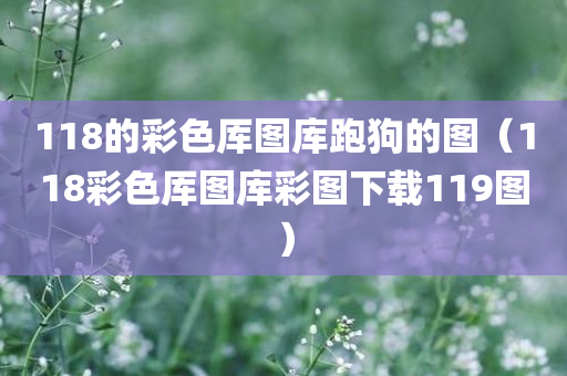 118的彩色厍图库跑狗的图（118彩色厍图库彩图下载119图）