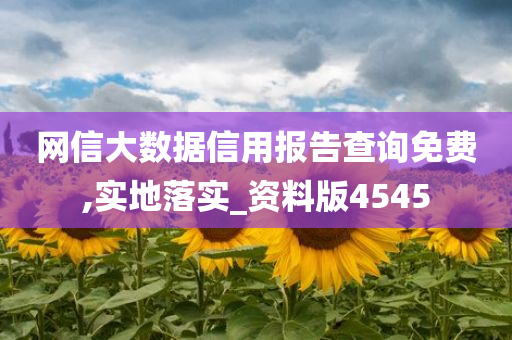 网信大数据信用报告查询免费,实地落实_资料版4545