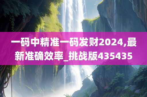 一码中精准一码发财2024,最新准确效率_挑战版435435