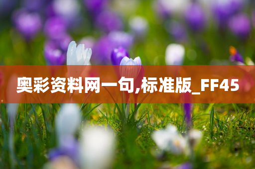 奥彩资料网一句,标准版_FF45