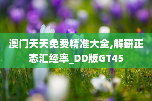 澳门天天免费精准大全,解研正态汇经率_DD版GT45