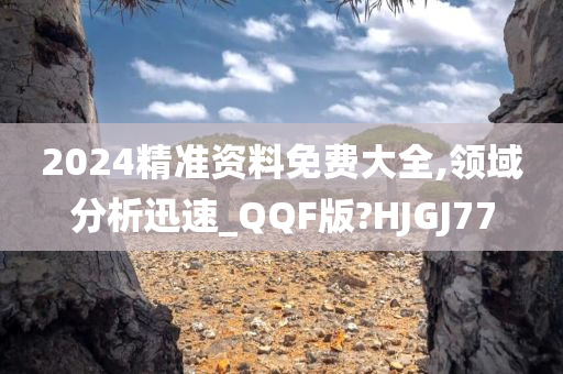 2024精准资料免费大全,领域分析迅速_QQF版?HJGJ77