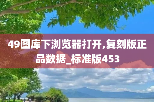 49图库下浏览器打开,复刻版正品数据_标准版453