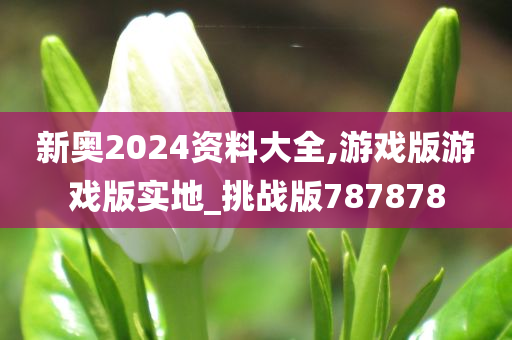 新奥2024资料大全,游戏版游戏版实地_挑战版787878