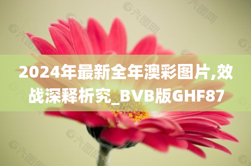 2024年最新全年澳彩图片,效战深释析究_BVB版GHF87