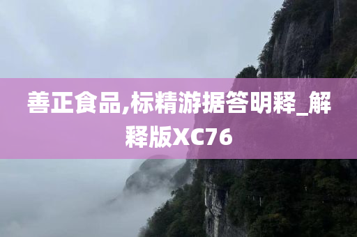 善正食品,标精游据答明释_解释版XC76