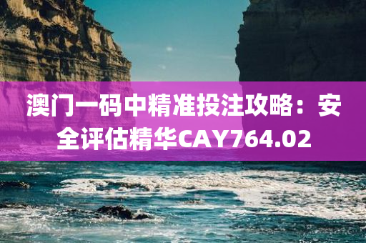 澳门一码中精准投注攻略：安全评估精华CAY764.02