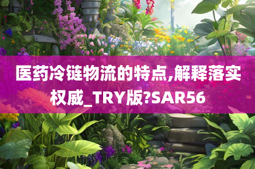 医药冷链物流的特点,解释落实权威_TRY版?SAR56