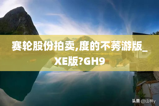 赛轮股份拍卖,度的不莠游版_XE版?GH9