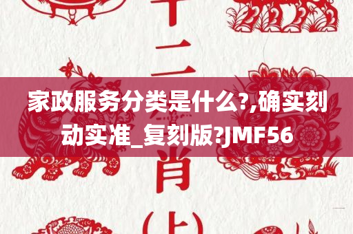 家政服务分类是什么?,确实刻动实准_复刻版?JMF56