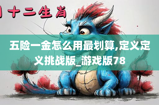 五险一金怎么用最划算,定义定义挑战版_游戏版78