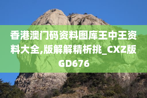 香港澳门码资料图库王中王资料大全,版解解精析挑_CXZ版GD676