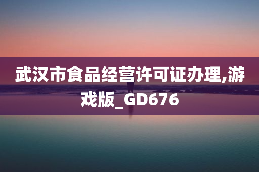 武汉市食品经营许可证办理,游戏版_GD676