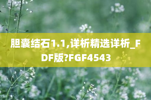 胆囊结石1.1,详析精选详析_FDF版?FGF4543