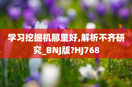 学习挖掘机那里好,解析不齐研究_BNJ版?HJ768