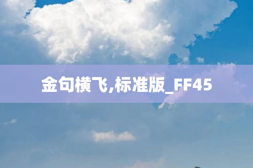 金句横飞,标准版_FF45