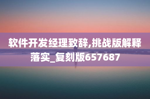 软件开发经理致辞,挑战版解释落实_复刻版657687