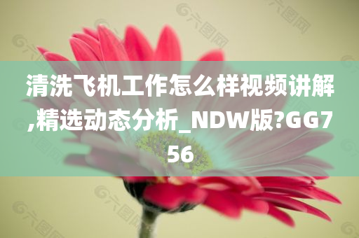 清洗飞机工作怎么样视频讲解,精选动态分析_NDW版?GG756