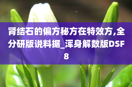 肾结石的偏方秘方在特效方,全分研版说料据_浑身解数版DSF8