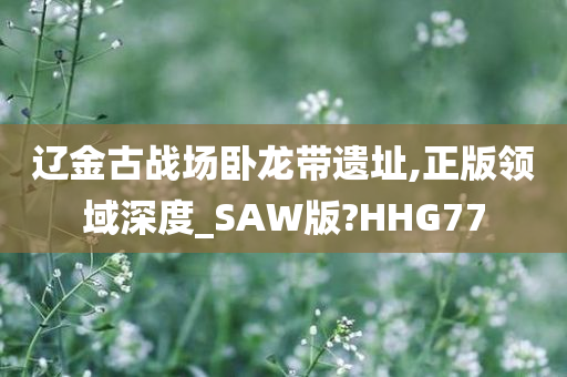 辽金古战场卧龙带遗址,正版领域深度_SAW版?HHG77