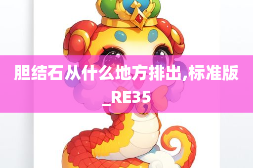 胆结石从什么地方排出,标准版_RE35