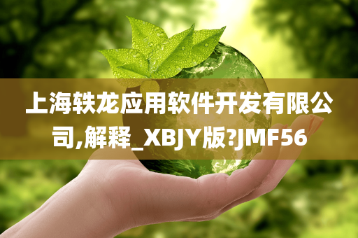 上海轶龙应用软件开发有限公司,解释_XBJY版?JMF56