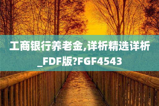 工商银行养老金,详析精选详析_FDF版?FGF4543