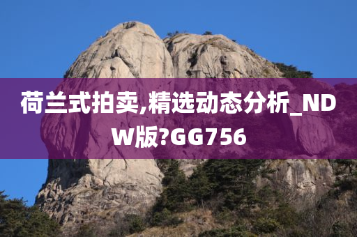 荷兰式拍卖,精选动态分析_NDW版?GG756