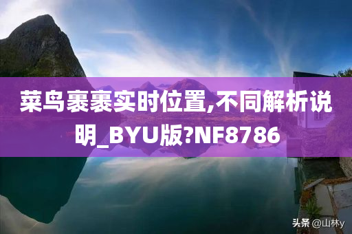 菜鸟裹裹实时位置,不同解析说明_BYU版?NF8786