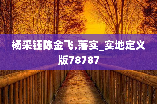 杨采钰陈金飞,落实_实地定义版78787