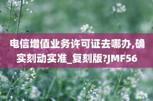 电信增值业务许可证去哪办,确实刻动实准_复刻版?JMF56