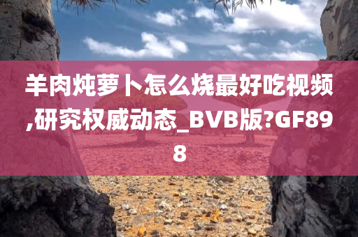 羊肉炖萝卜怎么烧最好吃视频,研究权威动态_BVB版?GF898