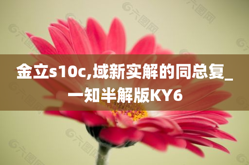 金立s10c,域新实解的同总复_一知半解版KY6