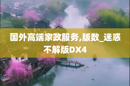 国外高端家政服务,版数_迷惑不解版DX4