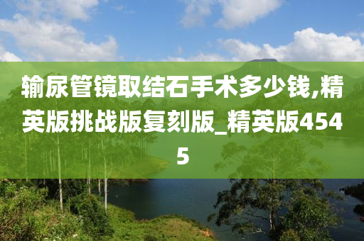 输尿管镜取结石手术多少钱,精英版挑战版复刻版_精英版4545