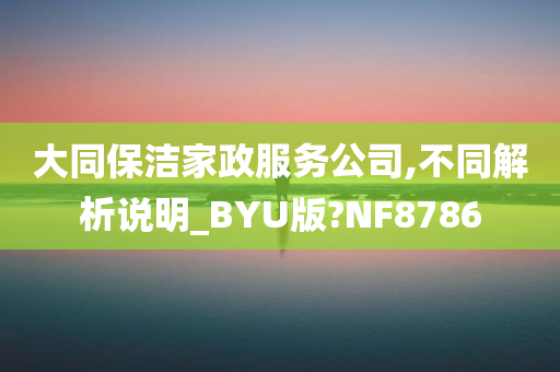 大同保洁家政服务公司,不同解析说明_BYU版?NF8786