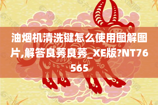 油烟机清洗键怎么使用图解图片,解答良莠良莠_XE版?NT76565