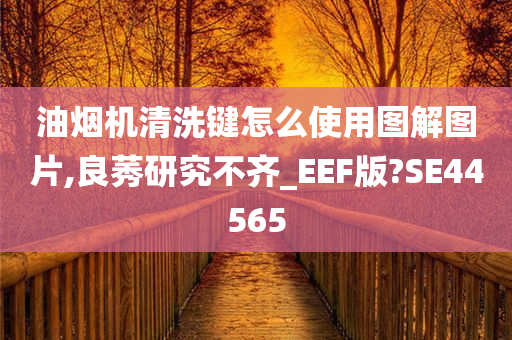 油烟机清洗键怎么使用图解图片,良莠研究不齐_EEF版?SE44565