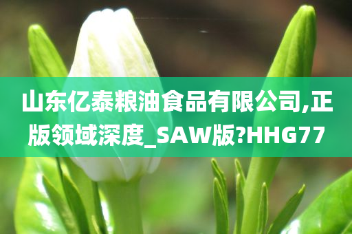 山东亿泰粮油食品有限公司,正版领域深度_SAW版?HHG77