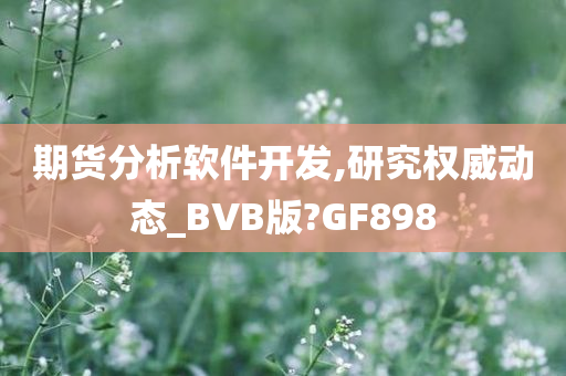 期货分析软件开发,研究权威动态_BVB版?GF898